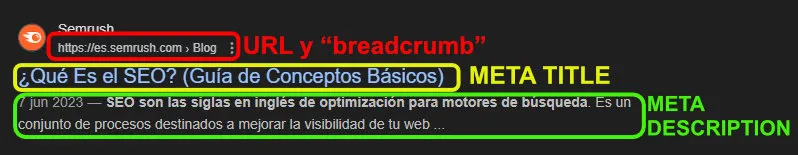 SERPS meta title, meta description y url